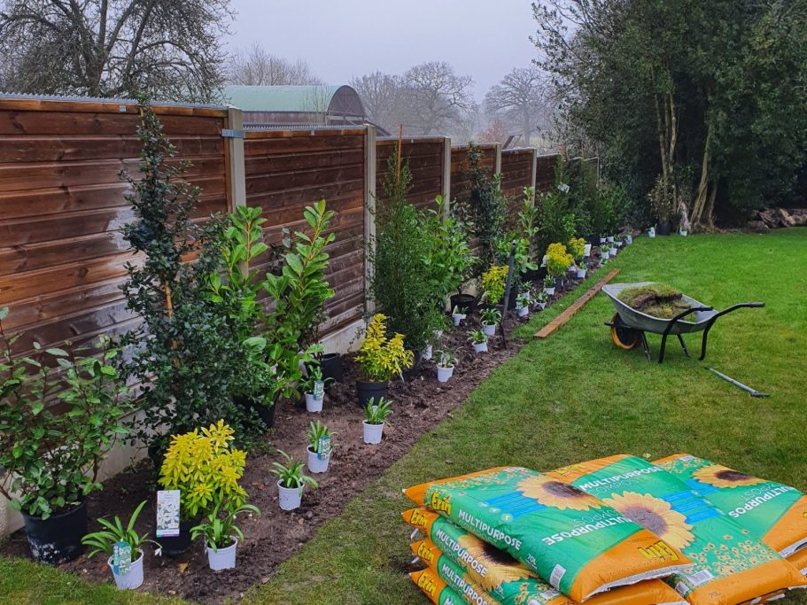 Compost with new plants ready to be planted in border