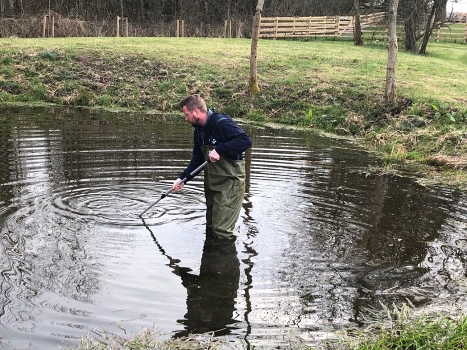 Gardener carrying out some pond maintenance on a natural clay pond