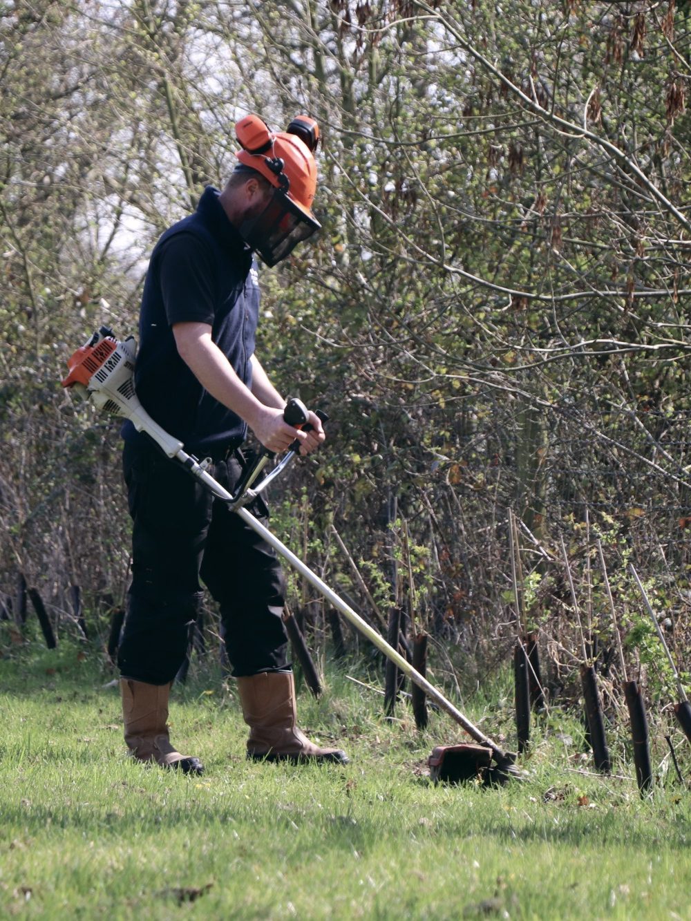 Gardener doing grounds maintenance with a strimmer
