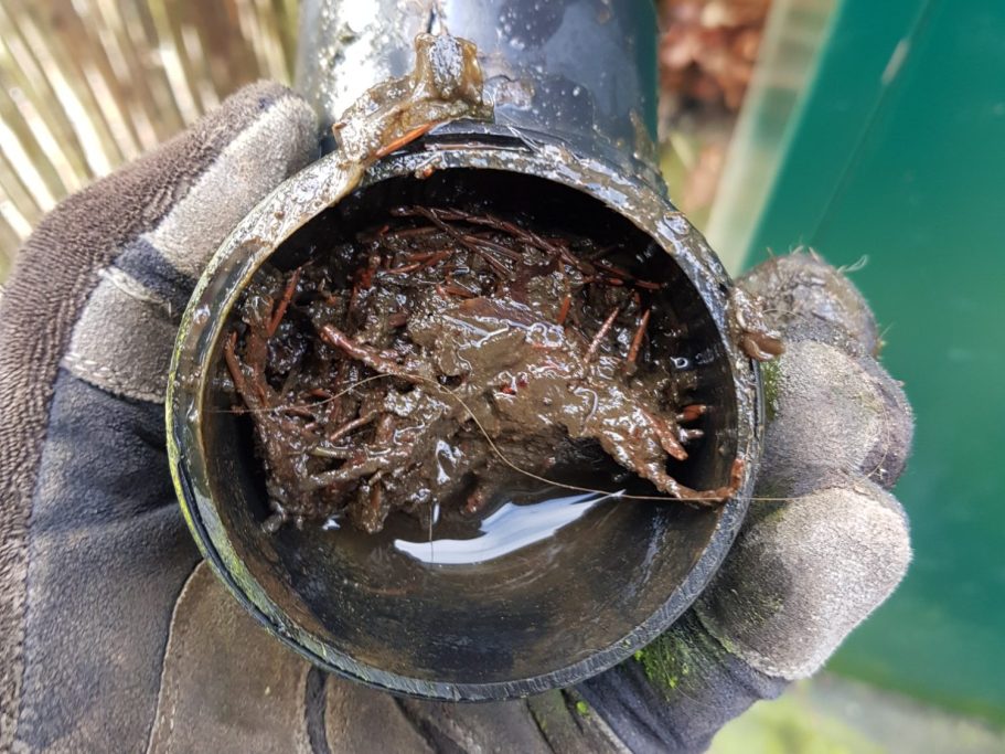 guttering downpipe elbow compacted with debris